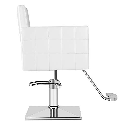 Paddie Salon Chair for Hair Stylist, Hydraulic Barber Chair Classic Styling B...