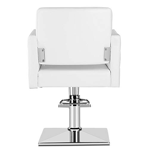 Paddie Salon Chair for Hair Stylist, Hydraulic Barber Chair Classic Styling B...