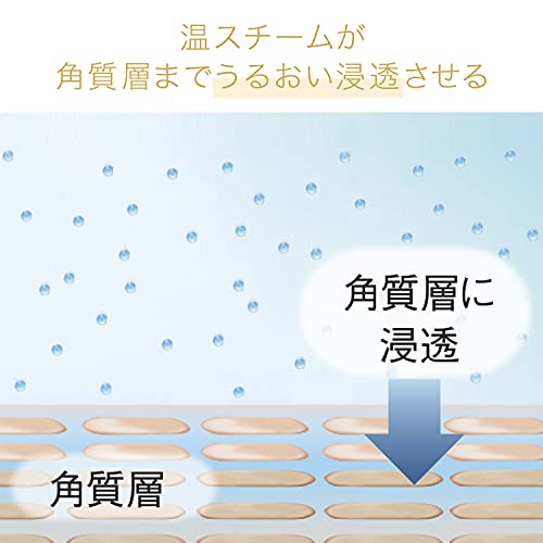 Panasonic EH-SA3C-N [Steamer Nanocare Compact Type Gold Style] Facial Steamer...