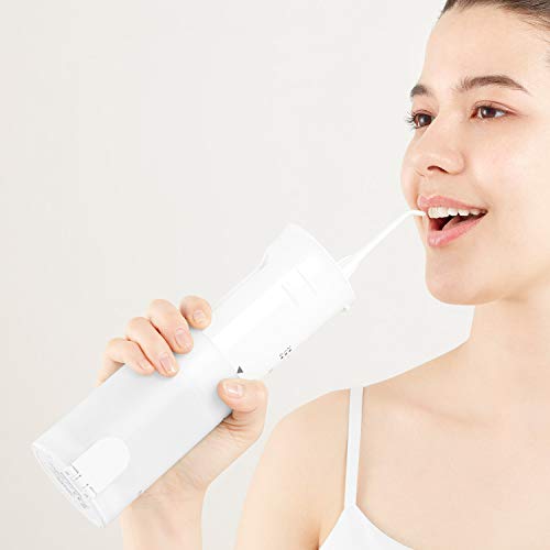 Panasonic Portable Water Flosser, 2-Speed Battery-Operated Oral Irrigator wit...