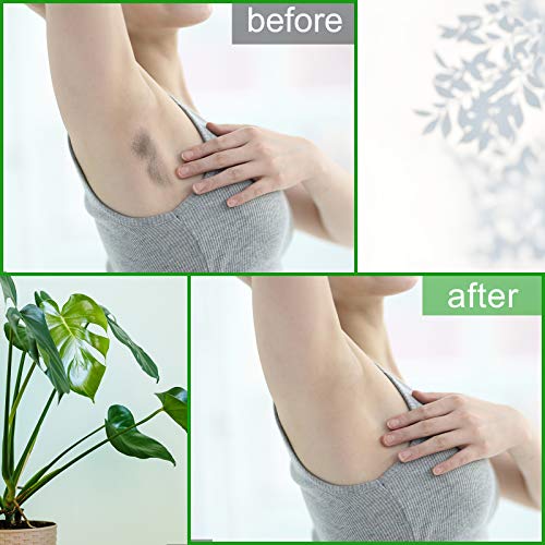 Panghuhu88 Double Wax Warmer, Professional Electric Wax Heater, Wax Pot Dual ...