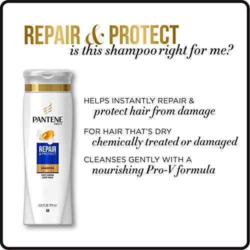 Pantene, Shampoo and Conditioner Kit, with Argan Oil, Pro-V Repair and Protec...