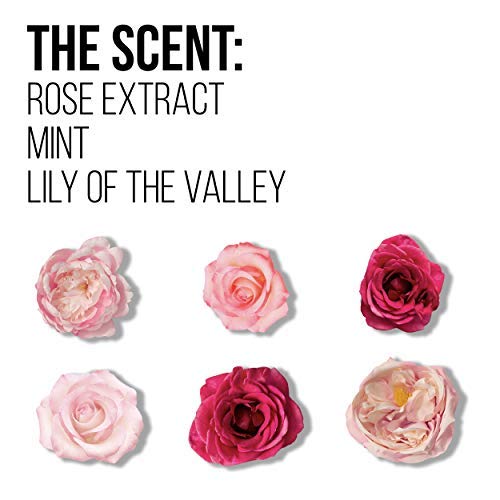 Pantene, Shampoo and Sulfate Free Conditioner Kit, Paraben and Dye Free, Pro-...