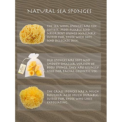 Natural Yellow Sea Silk Sponges 1,5 Inches Pack of 5 in an Organza Bag. Great...