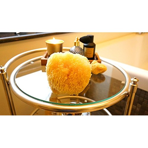 Sea Sponge for Bathing 5 inch-Softly Rough but Not Skin Irritating – Yellow, ...