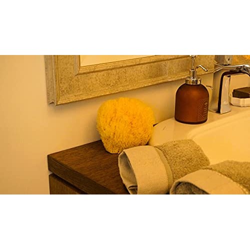 Sea Sponge for Bathing 5 inch-Softly Rough but Not Skin Irritating – Yellow, ...