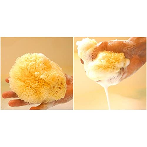Sea Sponge for Bathing 5 inch-Softly Rough but Not Skin Irritating – Yellow, ...