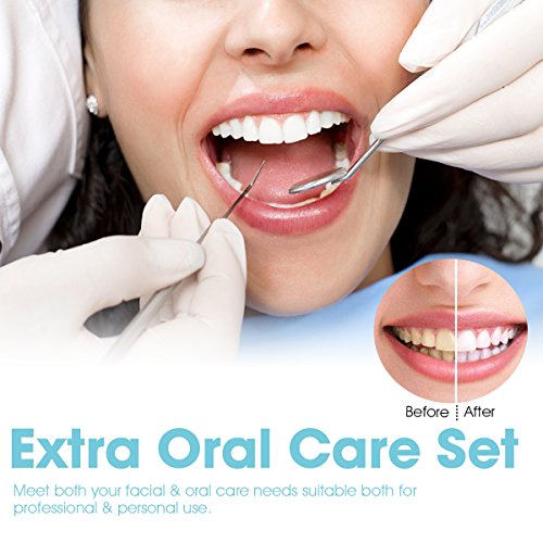 Dental Tools,Patekfly Stainless Steel 6 Pack Dental Pick Dental Floss, Dental...