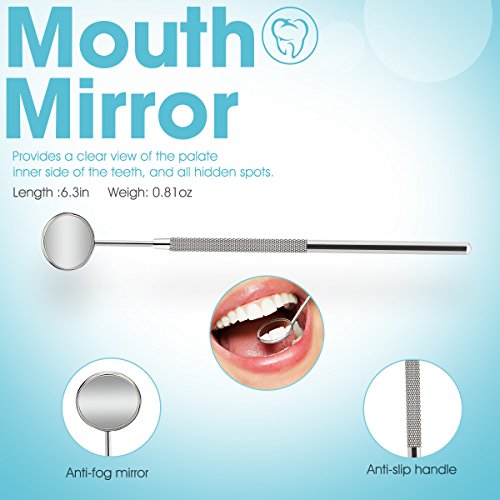 Dental Tools,Patekfly Stainless Steel 6 Pack Dental Pick Dental Floss, Dental...