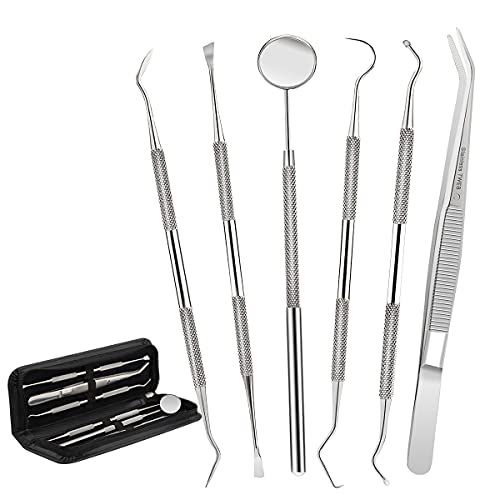Dental Tools,Patekfly Stainless Steel 6 Pack Dental Pick Dental Floss, Dental...