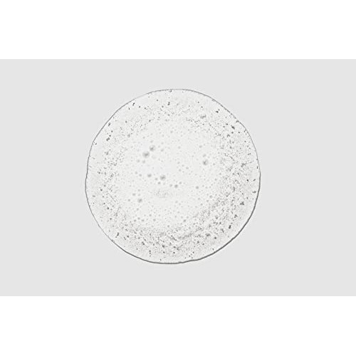 Paul Mitchell Baby Don’t Cry Shampoo, Kids Wash, Tear Free, For All Hair Type...