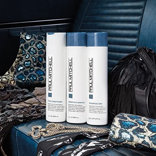 Paul Mitchell The Conditioner , 16.9 Fl Oz (Pack of 1)