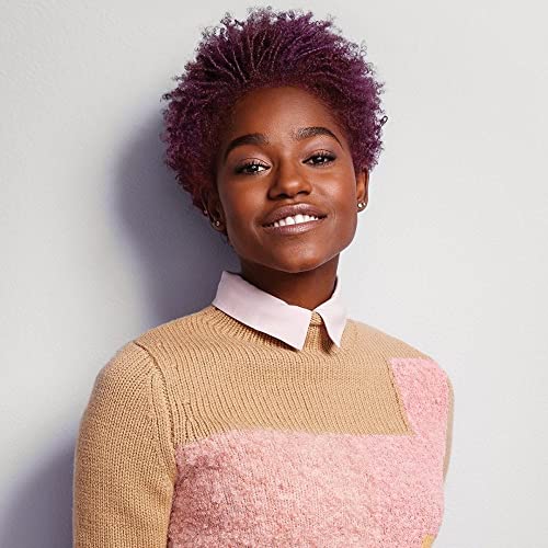 Paul Mitchell The Conditioner , 16.9 Fl Oz (Pack of 1)