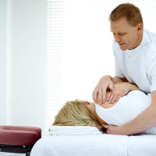 Massage Table Portable Massage Bed Spa Bed 73''L 24" W Height Adjustable PU L...