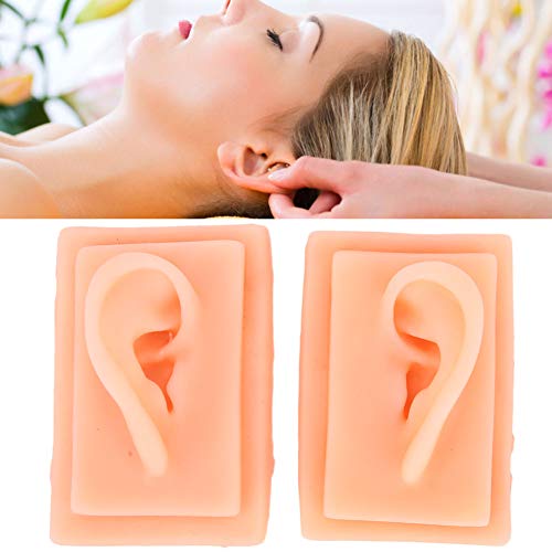 Ear Model Silicone Ear Model-Silicone Ear Model Acupuncture Practice Human So...