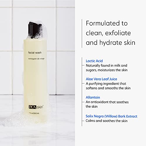 PCA SKIN Gentle Hydrating Face Wash - Oil-Free Daily Foaming Facial Cleanser ...