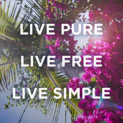 Petal Fresh Refreshing Cucumber Makeup Removing, Cleansing Towelettes, Gentle...