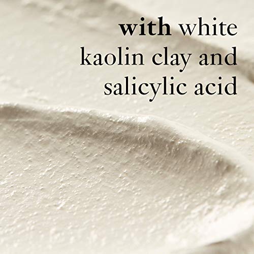 Philosophy Purity Made Simple- Pore Extractor Mask, 2.5 Fl Oz