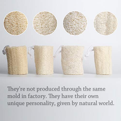 4" Natural Loofah Exfoliating Body Sponge Scrubber for Skin Care in Bath Spa ...