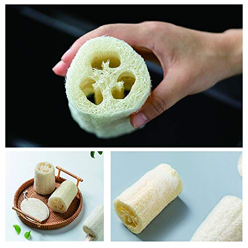 5" Natural Loofah Exfoliating Body Sponge Scrubber for Skin Care in Bath Spa ...