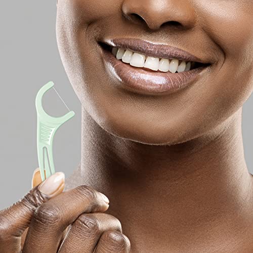 Plackers Dental Floss Picks, Micro Mint, 150 Count