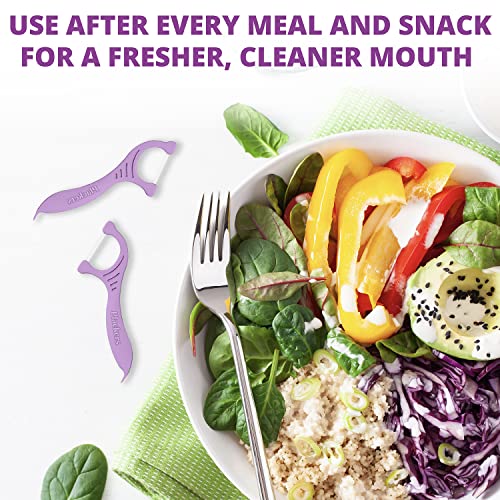 Plackers Gentleslide Dental Flossers, Mint Blast Flavor, Gentle Clean, Soft F...