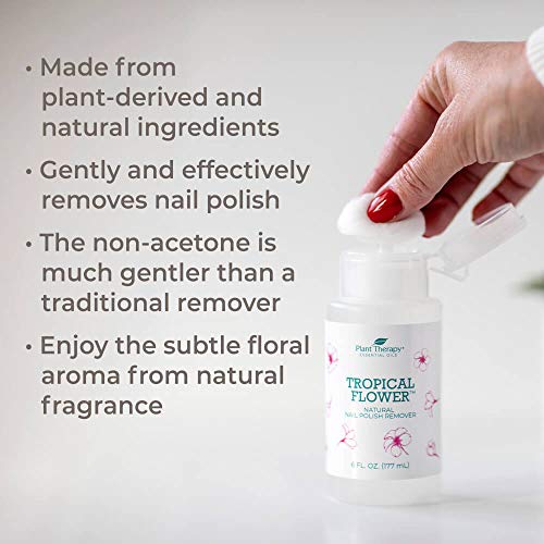 Plant Therapy Natural Acetone Free Nail Polish Remover 6 fl oz One Touch Disp...