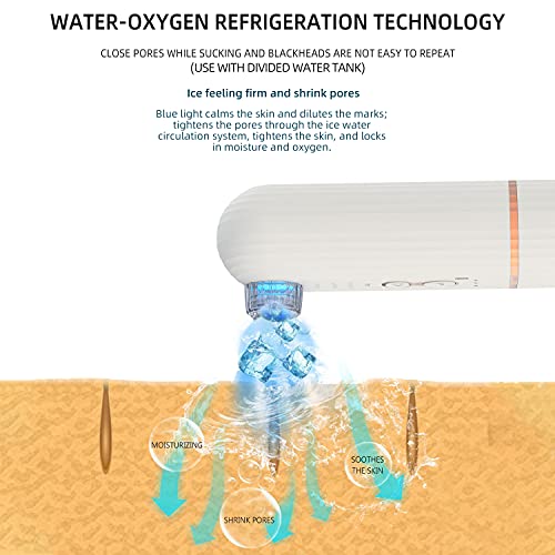 Blackhead Remover Pore Vacuum,Electric Acne Comedone Extractor with Blue Ligh...