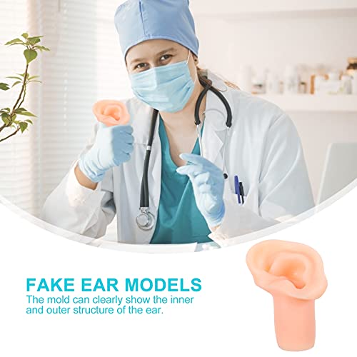 POPETPOP Silicone Ear Model Flexible Earmold Ear Displays Model for Acupunctu...