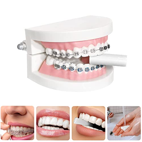 Orthodontic Retainer Case, Dental Mouth Guard Case with Lid Hinge, Denture Br...