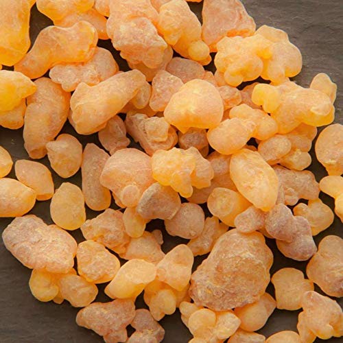 Pranarom - Frankincense Essential Oil (5ml) - 100% Pure Natural Therapeutic G...