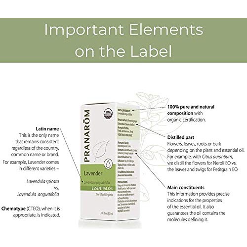 Pranarom - Frankincense Essential Oil (5ml) - 100% Pure Natural Therapeutic G...