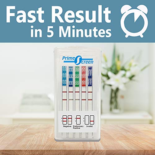 Prime Screen [1 Pack] 6 Panel Oral Saliva Drug Test Kit, Employment and Insur...