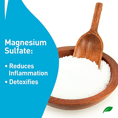 PROCURE Epsom Salt Rub Gel with Aloe Vera, 6 Fluid oz. (Pack of 2) Soothes Mu...