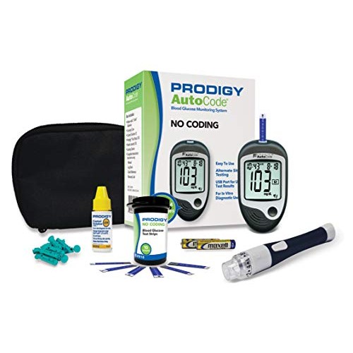 Prodigy AutoCode Talking Meter Kit