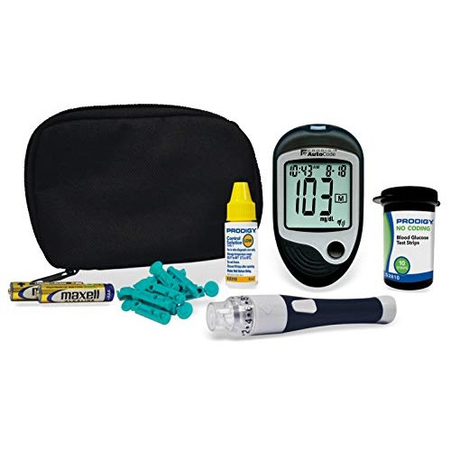 Prodigy AutoCode Talking Meter Kit