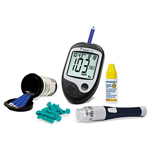 Prodigy AutoCode Talking Meter Kit