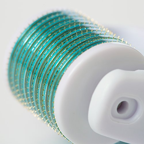 Derma Roller Microneedle 6 Piece Kit [DERMAROLL by Prosper Beauty] Face Rolle...