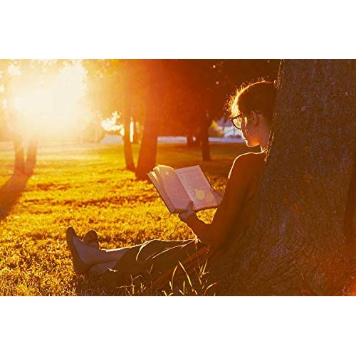 proSPORT Full Lens Reading Sunglasses Large Black +1.25 Not Bifocal Dark Tint...