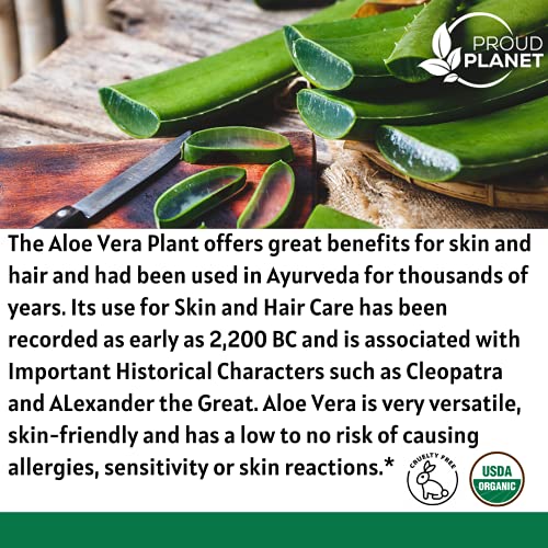 Organic Aloe Vera Powder for Hair & Face | Aloe Barbadensis | AloeVera Extrac...