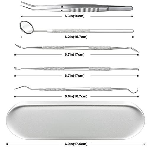 Dental Tools, 5 Pcs Professional Dentist Picks for Teeth Cleaning, Stainless ...