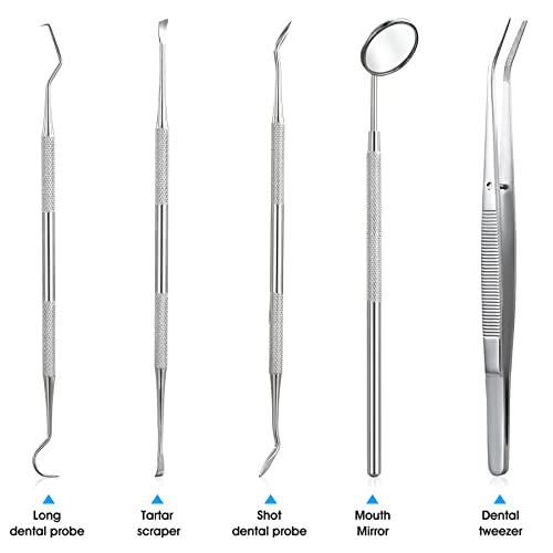 Dental Tools, 5 Pcs Professional Dentist Picks for Teeth Cleaning, Stainless ...