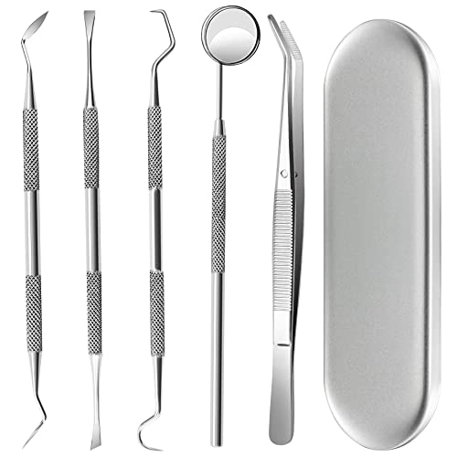 Dental Tools, 5 Pcs Professional Dentist Picks for Teeth Cleaning, Stainless ...