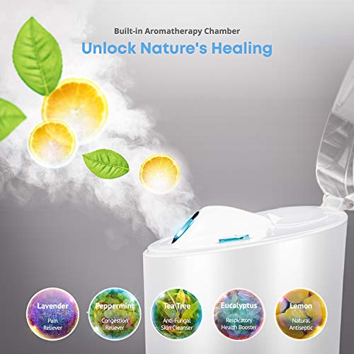 NanoSteamer PRO Professional 4-in-1 Nano Ionic Facial Steamer for Spas - 30 M...