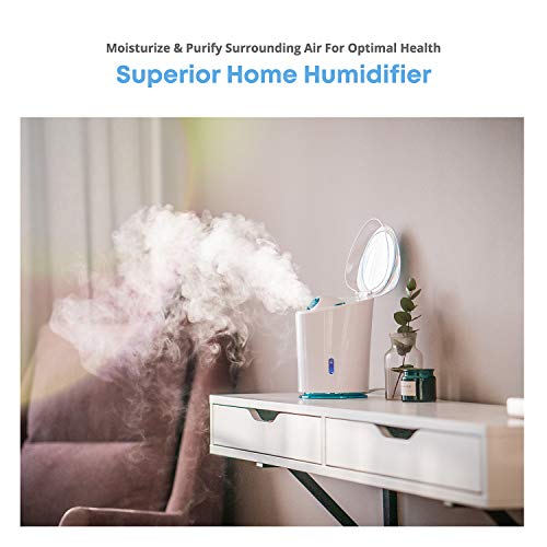 NanoSteamer PRO Professional 4-in-1 Nano Ionic Facial Steamer for Spas - 30 M...