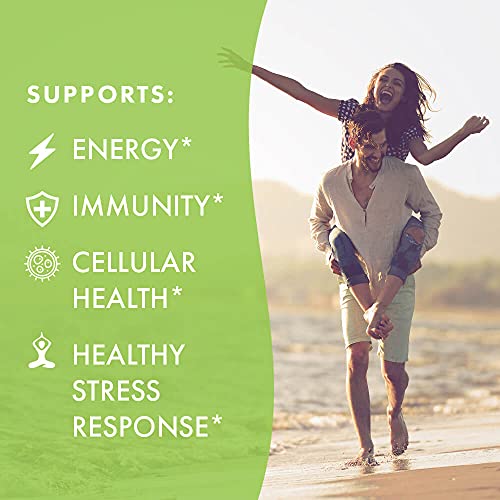 Pure Essence Labs LifeEssence Multivitamin Powder for Women and Men - Natural...