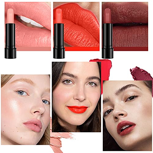 Pure Vie All-in-One Holiday Gift Makeup Set Cosmetic Essential Starter Bundle...