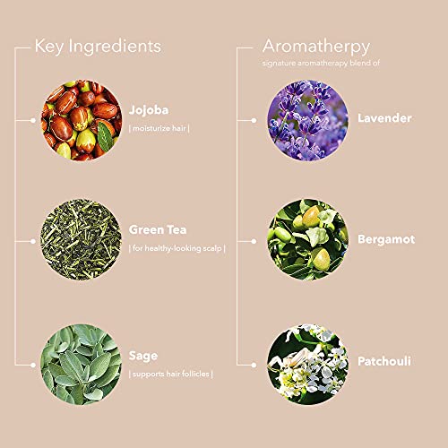 Pureology Hydrate Moisturizing Vegan Shampoo, 9 fl Ounces