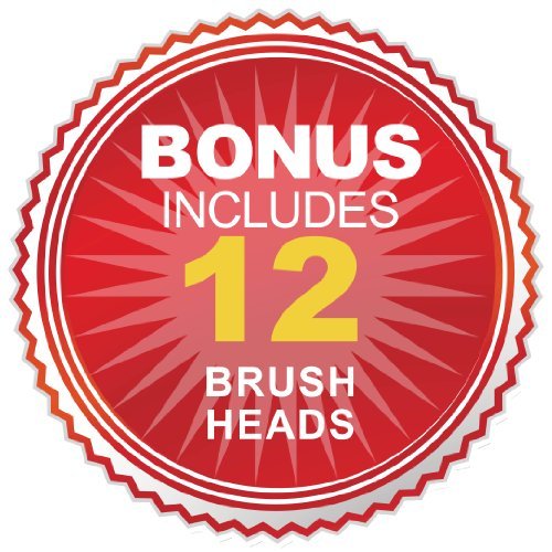 Pursonic S450 Deluxe Plus Rechargeable Sonic Electric Toothbrush with built i...