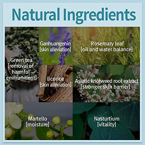 PYUNKANG YUL Acne Toner - Acne Treatment - Salicylic acid BHA Astringent for ...